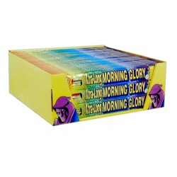 (S-019BQ) 14" Morning Glory 2 Box Package PDQ (Case Pack: 54/2)