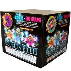 (G-030) Burst and Bloom, 8 Shot (Case Pack:4/1)